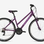 BALLISTIC cross trecking 700c coaster w