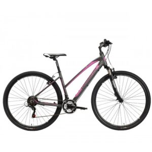 Lombardo Amantea 100 28" Donna Fitness Anthracite-Fuchsia Matt