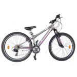 Energy Galaxy 27,5" Γυναικείο - Gray Purple Matt