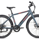 Velogreen JOBO VIVA 28 City 10Ah LG